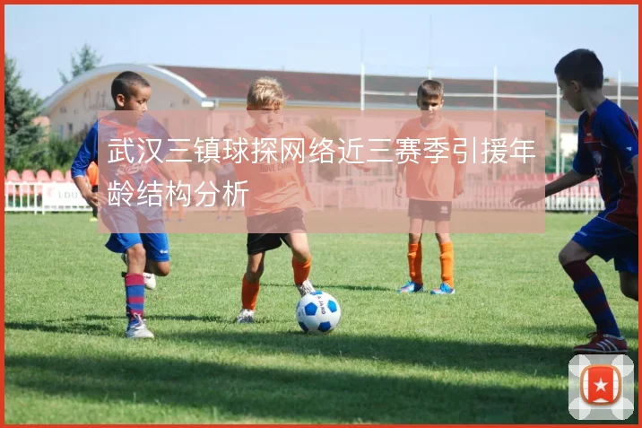 武汉三镇球探网络近三赛季引援年龄结构分析