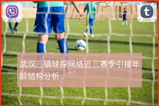 武汉三镇球探网络近三赛季引援年龄结构分析